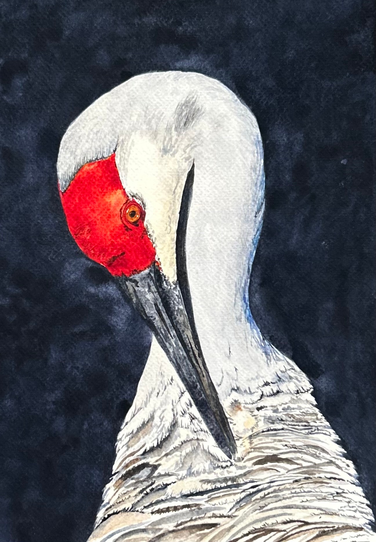 Sandhill Crane Portrait — Original Watercolor by Linda Griffin