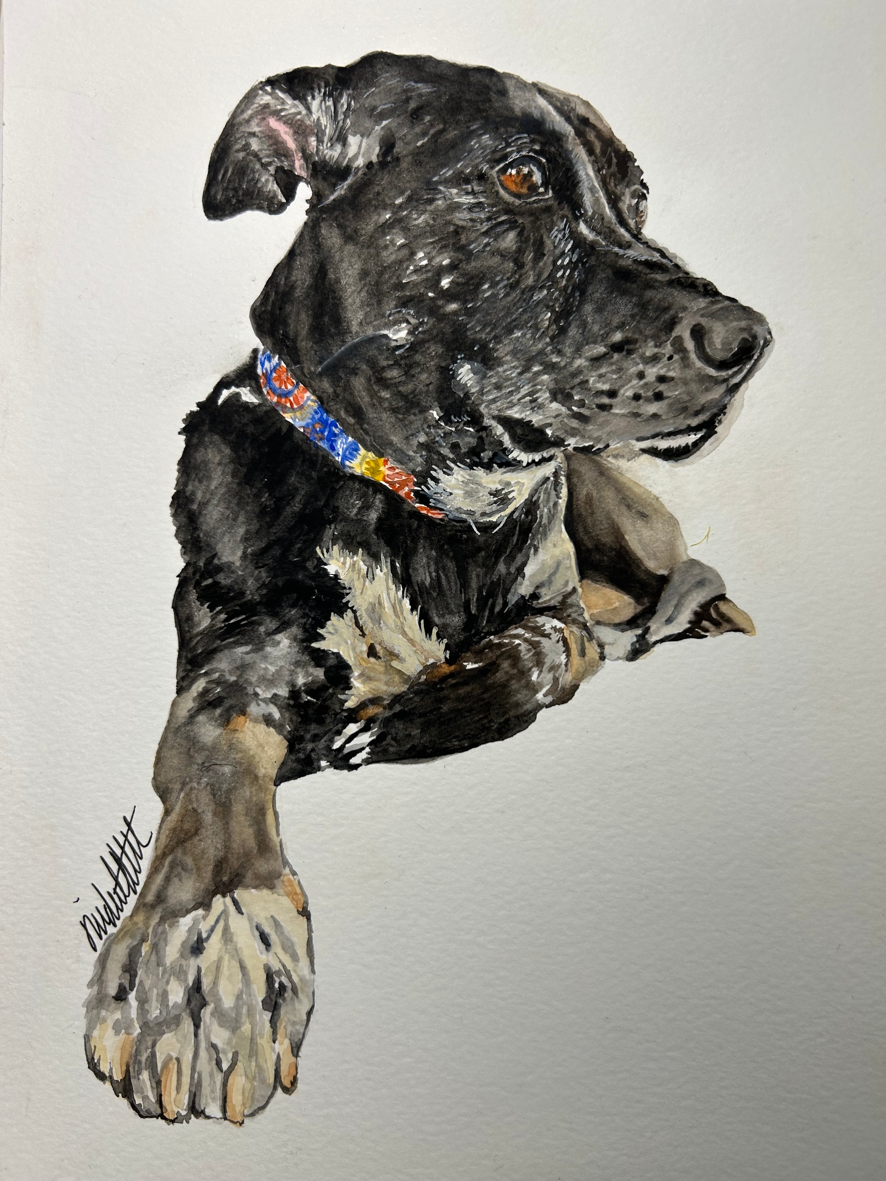 Maine — original watercolor pet portrait painting by Linda Griffin