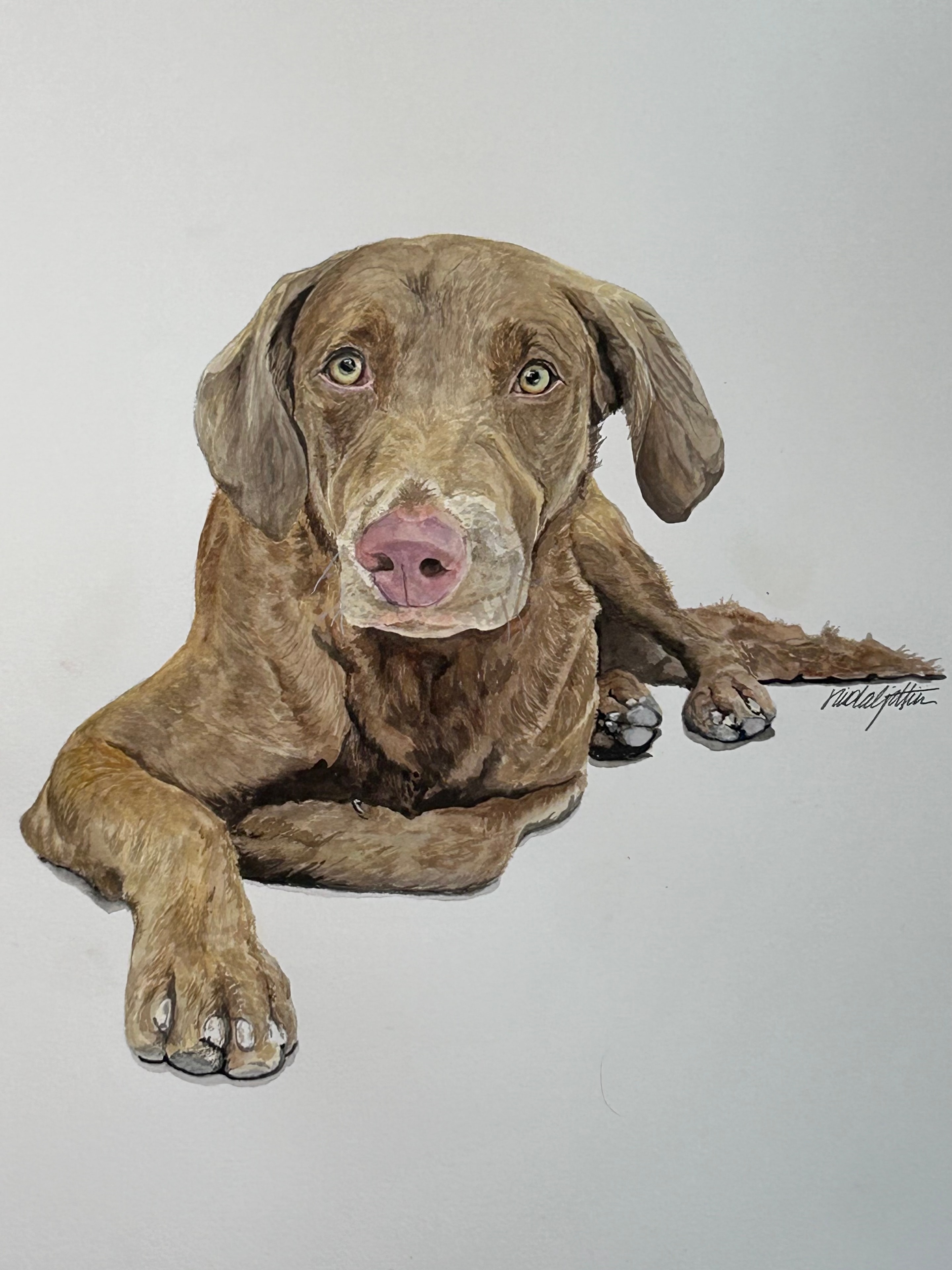 Peaches — original watercolor pet portrait of a dog by Florida artist Linda Griffin