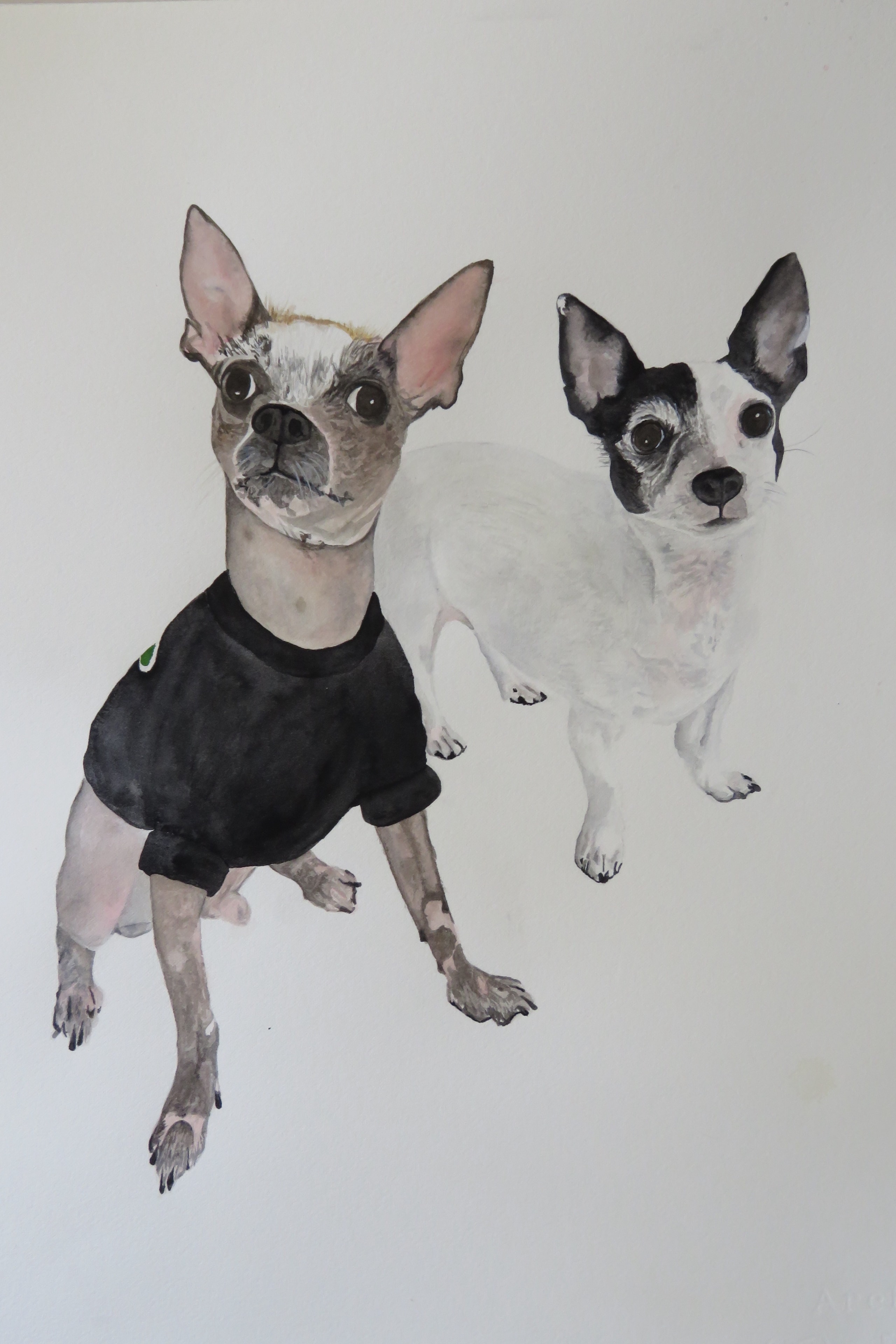 Two dogs — original watercolor pet portrait painting by Florida artist Linda Griffin
