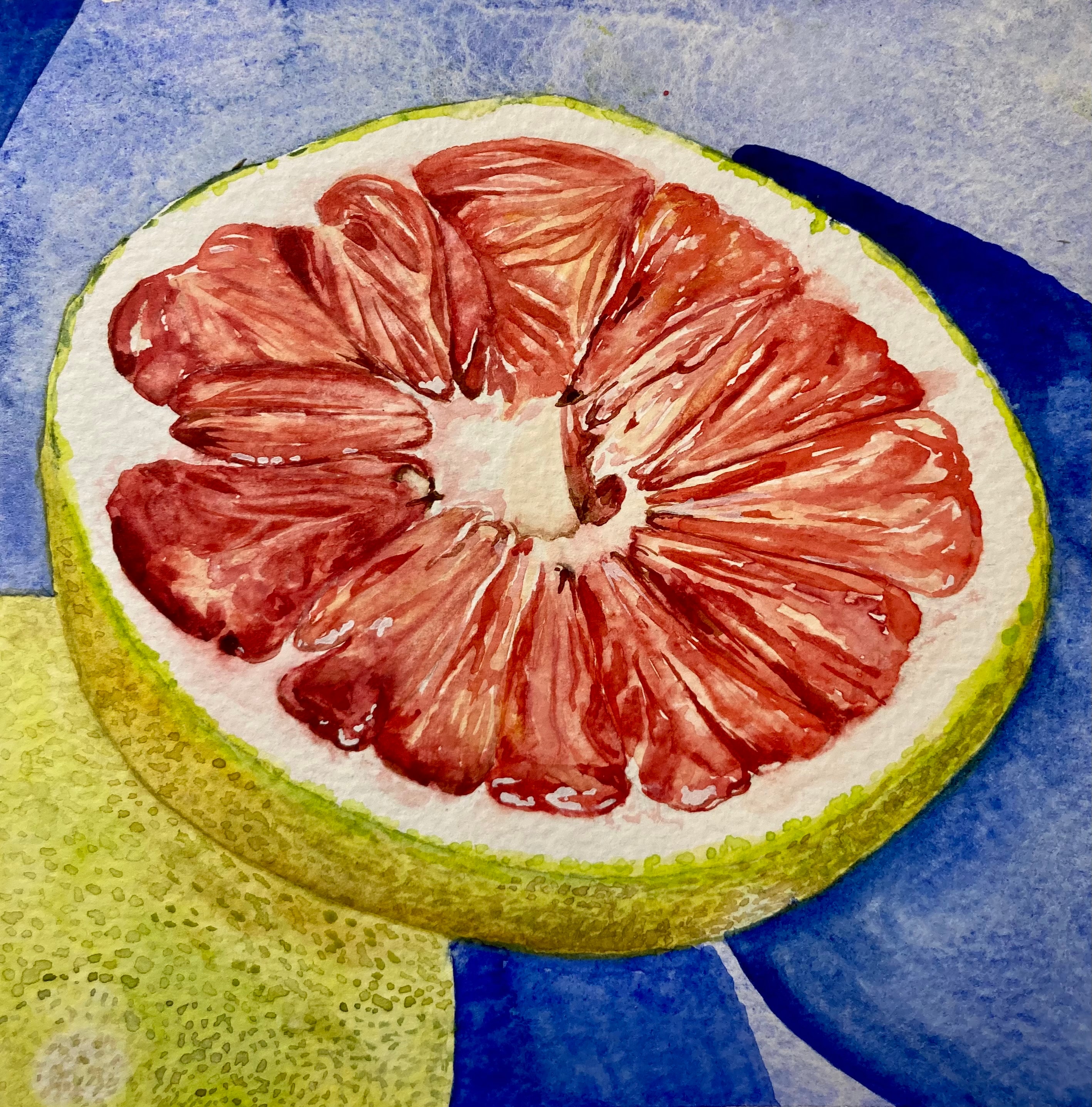 Grapefruit — original watercolor painting by Florida artist Linda Griffin